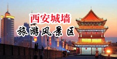 嫩穴流白浆中国陕西-西安城墙旅游风景区